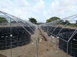 3 đặc điểm khi thiết kế ao ương gièo trong nuôi tôm mà bạn cần lưu ý 3 đặc điểm khi thiết kế ao ương gièo trong nuôi tôm mà bạn cần lưu ý