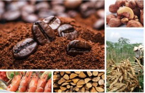 Bản tin thị trường Nông, lâm, thủy sản Bản tin thị trường Nông, lâm, thủy sản