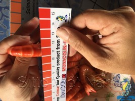 MÀU SẮC QUYẾT ĐỊNH GIÁ TRỊ TÔM MÀU SẮC QUYẾT ĐỊNH GIÁ TRỊ TÔM