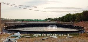 Cơ hội lớn cho thủy sản Việt Nam Cơ hội lớn cho thủy sản Việt Nam