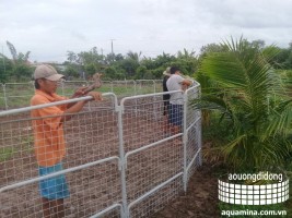 CÁCH LẮP ĐẶT BỂ ƯƠNG NỔI CÁCH LẮP ĐẶT BỂ ƯƠNG NỔI