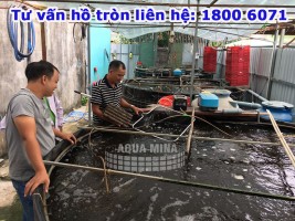Tại sao nên chọn hồ tròn loại nhỏ Tại sao nên chọn hồ tròn loại nhỏ