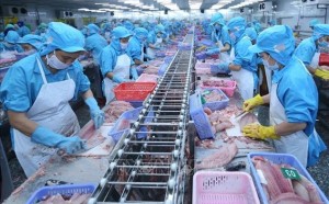 Thủy sản Việt rộng đường vào thị trường Trung Quốc Thủy sản Việt rộng đường vào thị trường Trung Quốc