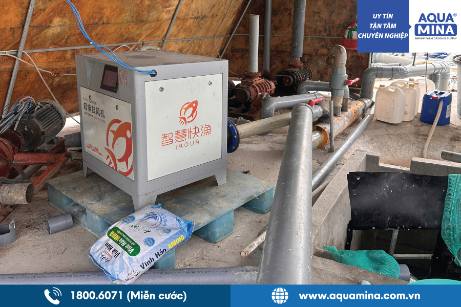 Aqua Mina lắp đặt máy thổi khí Turbo 15kW tại Vũng Tàu | Giải pháp thay thế 4 máy súp lăng giúp tiết kiệm điện - Gọi ngay 18006071