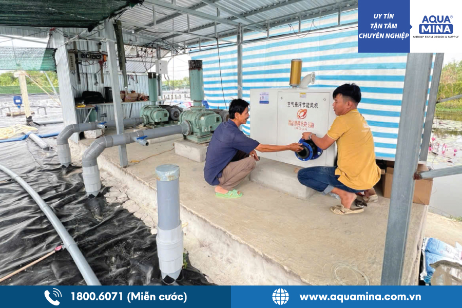 Aqua Mina lắp đặt máy thổi khí thủy sản tận nơi tại Cà Mau | Giải pháp thổi khí mới công nghệ cao tiên tiến