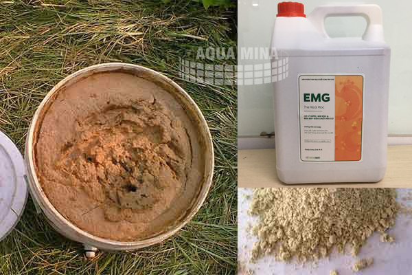 cách tạo thức ăn tự nhiên cho tôm