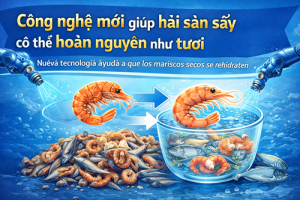 Nueva tecnología permite que los mariscos secos se rehidraten como frescos