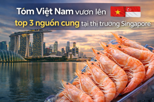 Tôm Việt Nam vươn lên top 3 nguồn cung tại thị trường Singapore