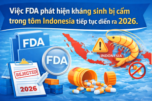 La detección de antibióticos prohibidos en el camarón indonesio por parte de la FDA continúa en 2026