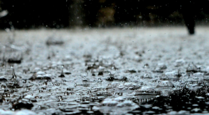 Tropical Storm No.1 Brings Torrential Rains to Central Vietnam Tropical Storm No.1 Brings Torrential Rains to Central Vietnam
