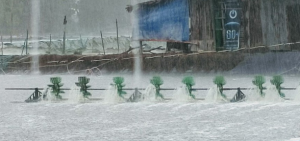 Las inundaciones devastan las operaciones de acuicultura y procesamiento en Vietnam