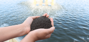 FAO: Gian lận có thể chiếm tới 20% thương mại thủy sản toàn cầu