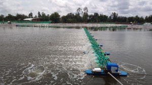 Chia sẻ: Bắc Giang: 150 ha nuôi thủy sản áp dụng tự động hóa Chia sẻ: Bắc Giang: 150 ha nuôi thủy sản áp dụng tự động hóa