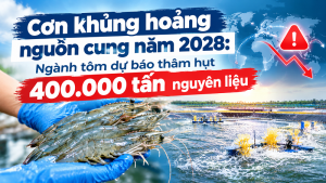 Cơn khủng hoảng nguồn cung năm 2028: Ngành tôm dự báo thâm hụt 400.000 tấn nguyên liệu