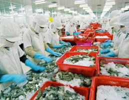Chia sẻ: Doanh nghiệp thủy sản tăng tốc xuất hàng vào thị trường Mỹ Chia sẻ: Doanh nghiệp thủy sản tăng tốc xuất hàng vào thị trường Mỹ
