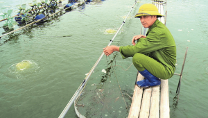 Hưng Yên: Đẩy mạnh mô hình HTX nuôi tôm ứng dụng công nghệ cao