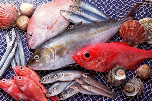 Indonesia acelera la expansión de su cuota en el mercado global de productos pesqueros