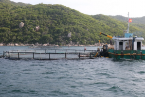 Khánh Hòa xin bật đèn xanh cho dự án nuôi ngoài khơi công nghệ cao
