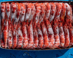 China aumenta un 10% el valor de sus importaciones, el camarón vietnamita se mantiene entre los principales proveedores