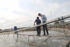 Chia sẻ: Nuôi tôm thâm canh cho lợi nhuận cao gấp từ 7 – 10 lần Chia sẻ: Nuôi tôm thâm canh cho lợi nhuận cao gấp từ 7 – 10 lần