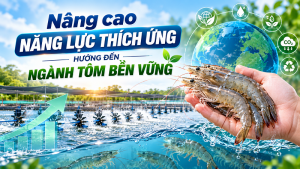 Nâng cao năng lực thích ứng, hướng đến ngành tôm bền vững