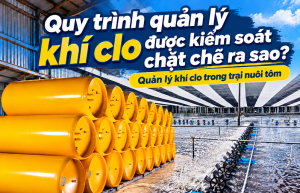 How strictly is the chlorine gas management process controlled?
