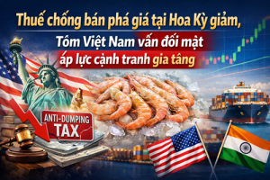 Thuế chống bán phá giá tại Hoa Kỳ giảm, tôm Việt Nam vẫn đối mặt áp lực cạnh tranh gia tăng