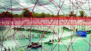 Thailand sets a target to increase shrimp production to 400,000 tons by 2026.