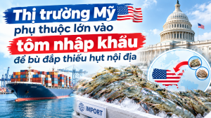 Thị trường Mỹ phụ thuộc lớn vào tôm nhập khẩu để bù đắp thiếu hụt nội địa