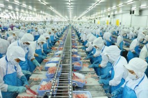 VASEP: Xuất khẩu thủy sản 2025 hướng tới mốc 10 tỷ USD, nhưng năm 2026 nhiều thách thức
