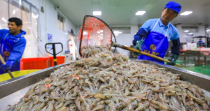 Seafood exports earned 1.3 billion USD in 2 months, expected to recover strongly