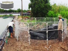 WILL HAVE BEEN THE SHRIMP FLOATING  PONDS BENEFICIAL TO THE SHRIMP CULTURE INDUSTRY?