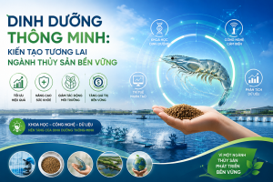 Dinh dưỡng thông minh: Kiến tạo tương lai ngành thủy sản bền vững
