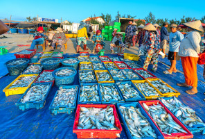 What opportunities lie ahead for Vietnam’s seafood exports in 2026