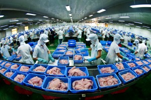 Để giữ 'phong độ' doanh nghiệp xuất khẩu cá tra cần những bước đi mới