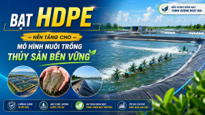 Bạt HDPE – Nền tảng cho mô hình nuôi trồng thủy sản bền vững