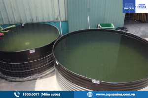 Usos inesperados de los tanques de agua en la vida diaria