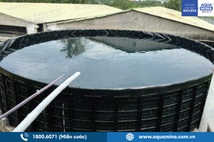 5 Sai Lầm Khi Mua Hồ Tròn Chứa Nước Giá Rẻ
