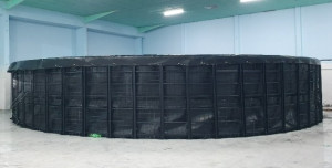 5 Mistakes to Avoid When Buying Cheap Circular Water Tanks