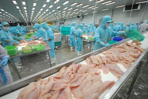 Ngành thủy sản quý I/2025: Sóng phục hồi đã nổi Ngành thủy sản quý I/2025: Sóng phục hồi đã nổi