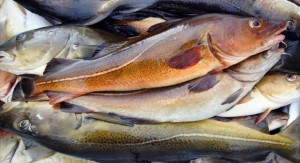 Norway – Russia Reach Barents Sea Fisheries Agreement for 2026