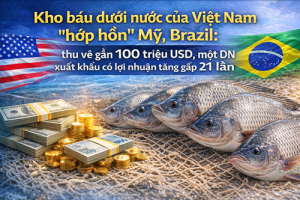Kho báu dưới nước của Việt Nam 'hớp hồn' Mỹ, Brazil: thu về gần 100 triệu USD, một DN xuất khẩu có lợi nhuận tăng gấp 21 lần