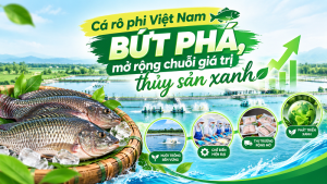 Cá rô phi Việt Nam bứt phá, mở rộng chuỗi giá trị thủy sản xanh