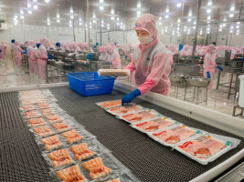 El precio del camarón vannamei se desploma: el mercado del Delta del Mekong no muestra señales de recuperación