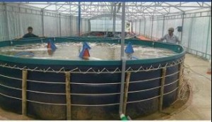 INSTALLATION OF AERATION SYSTEM IN FLOATING TANK