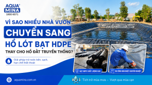Vì sao nhiều nhà vườn chuyển sang hồ lót bạt HDPE thay cho hồ đất truyền thống?