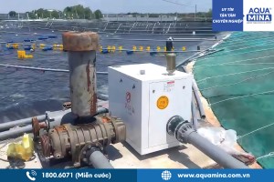 Máy thổi khí Ao Tôm 7.5kw vòng Treo Khí - Bảo Hành 2 năm | Trải nghiệm hiệu quả vận hành thực tế tại Vũng Tàu Cùng Aqua Mina