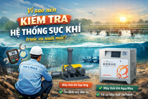 Vì sao nên kiểm tra hệ thống sục khí trước khi bước vào vụ nuôi mới?