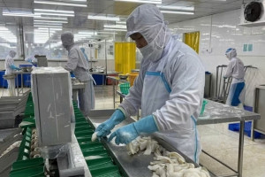 Recomendaciones para las empresas del sector pesquero tras las advertencias sobre propiedad intelectual de Estados Unidos