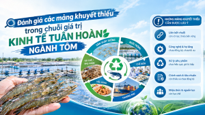 Đánh giá các mảng khuyết thiếu trong chuỗi giá trị kinh tế tuần hoàn ngành tôm